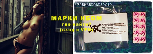 мяу мяу мука Гусь-Хрустальный
