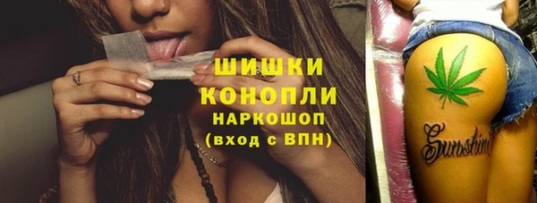 мяу мяу мука Гусь-Хрустальный