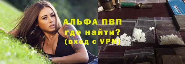 мяу мяу мука Гусь-Хрустальный