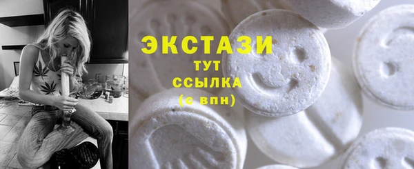 PSILOCYBIN Заполярный