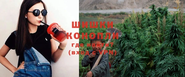 мяу мяу мука Гусь-Хрустальный