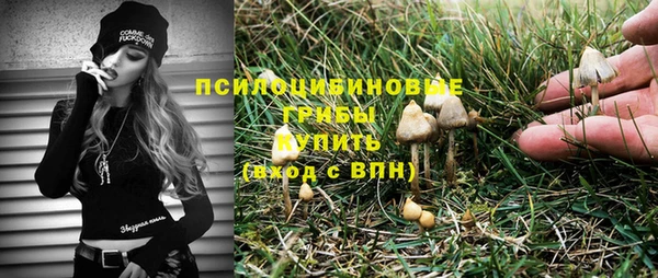 мяу мяу мука Гусь-Хрустальный