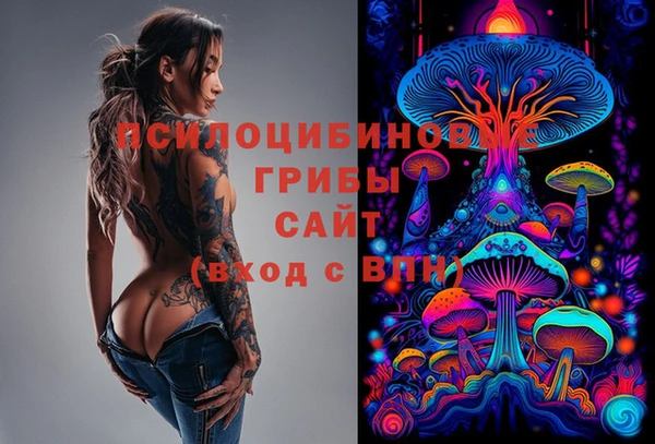 MDMA Гусиноозёрск
