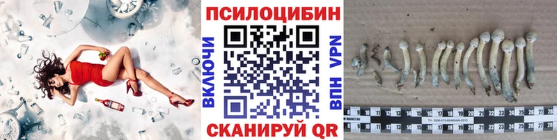 Галлюциногенные грибы Cubensis Лабытнанги