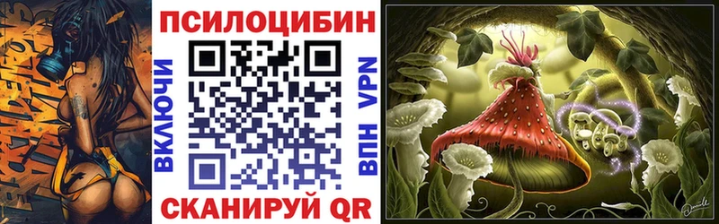 omg зеркало  где купить   Лабытнанги  Галлюциногенные грибы Magic Shrooms 